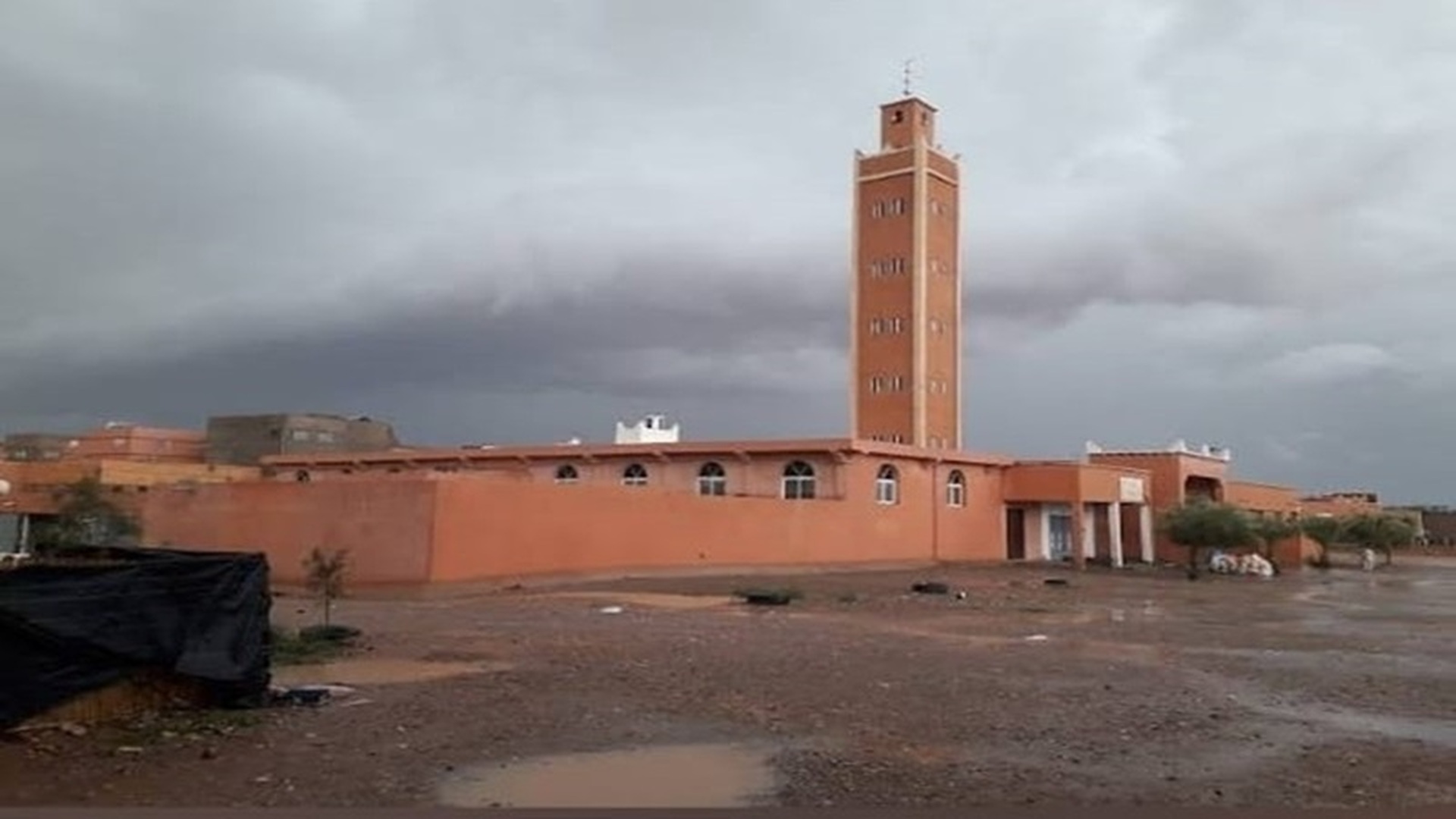 حي النهضة