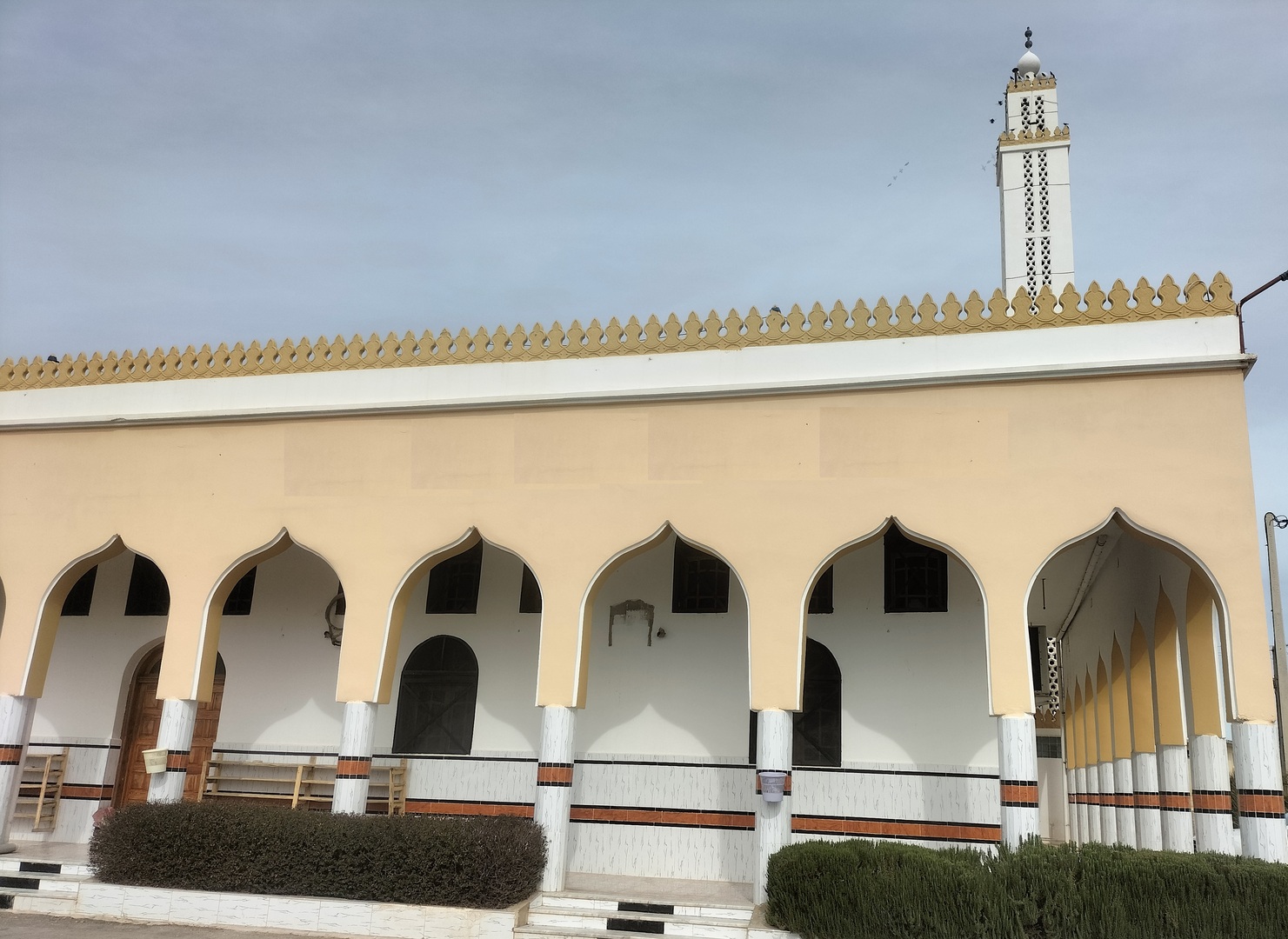 مسجد العلامة الطاهر شرفي
