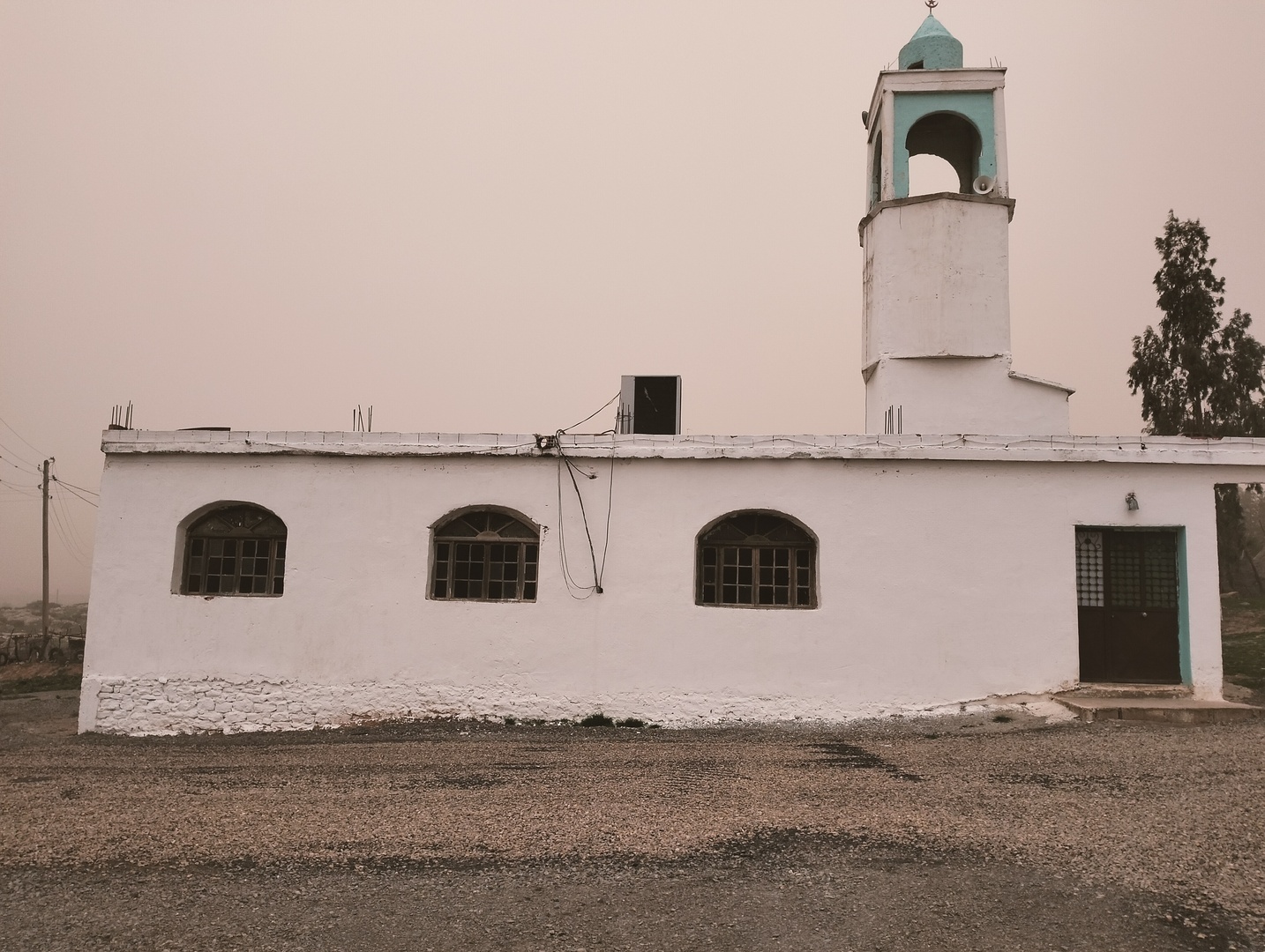 مسجد عقبة بن نافع - تيارت