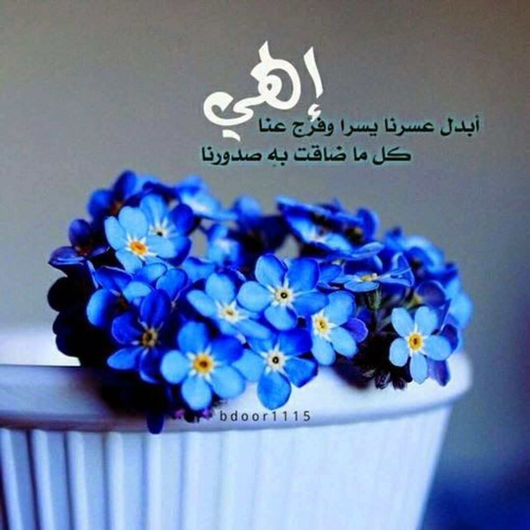 غزة