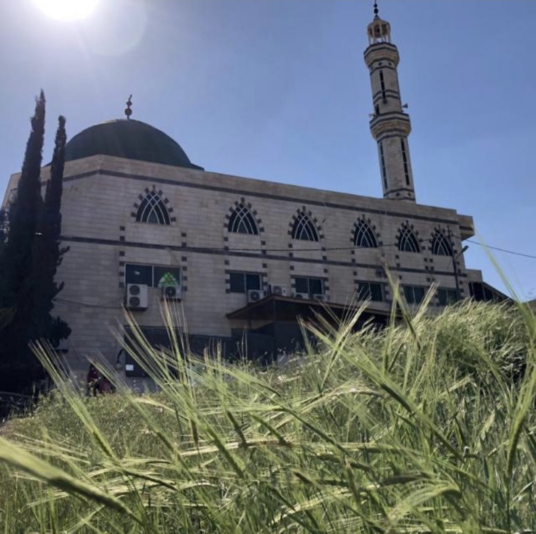 مسجد الفارس