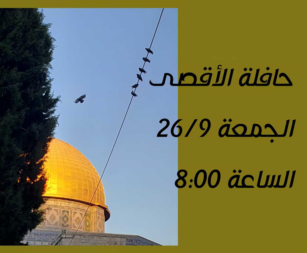 حافله الاقصى