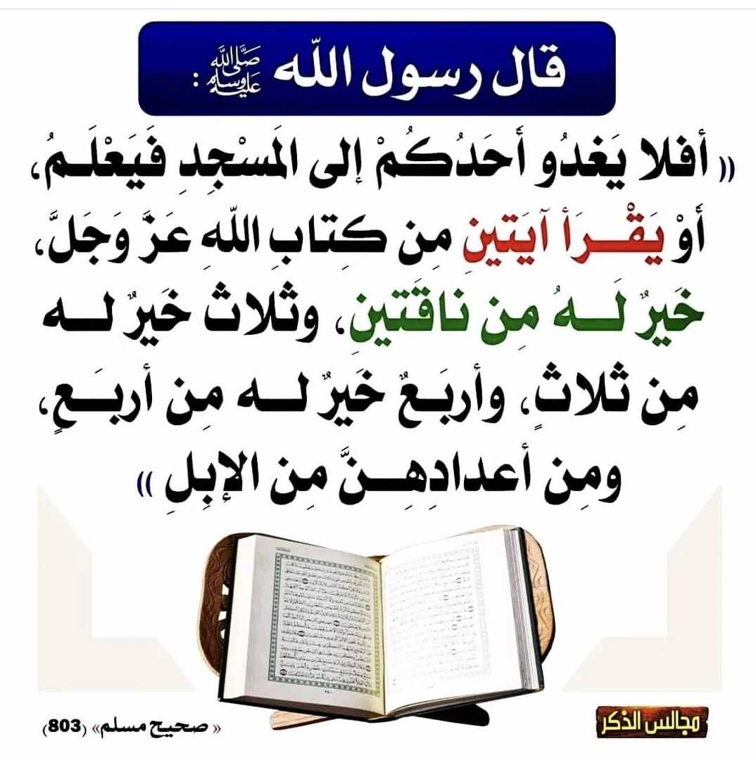 فضل قراءة القرآن