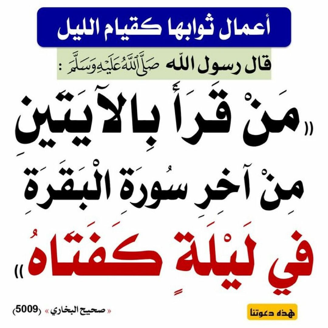 فائدة