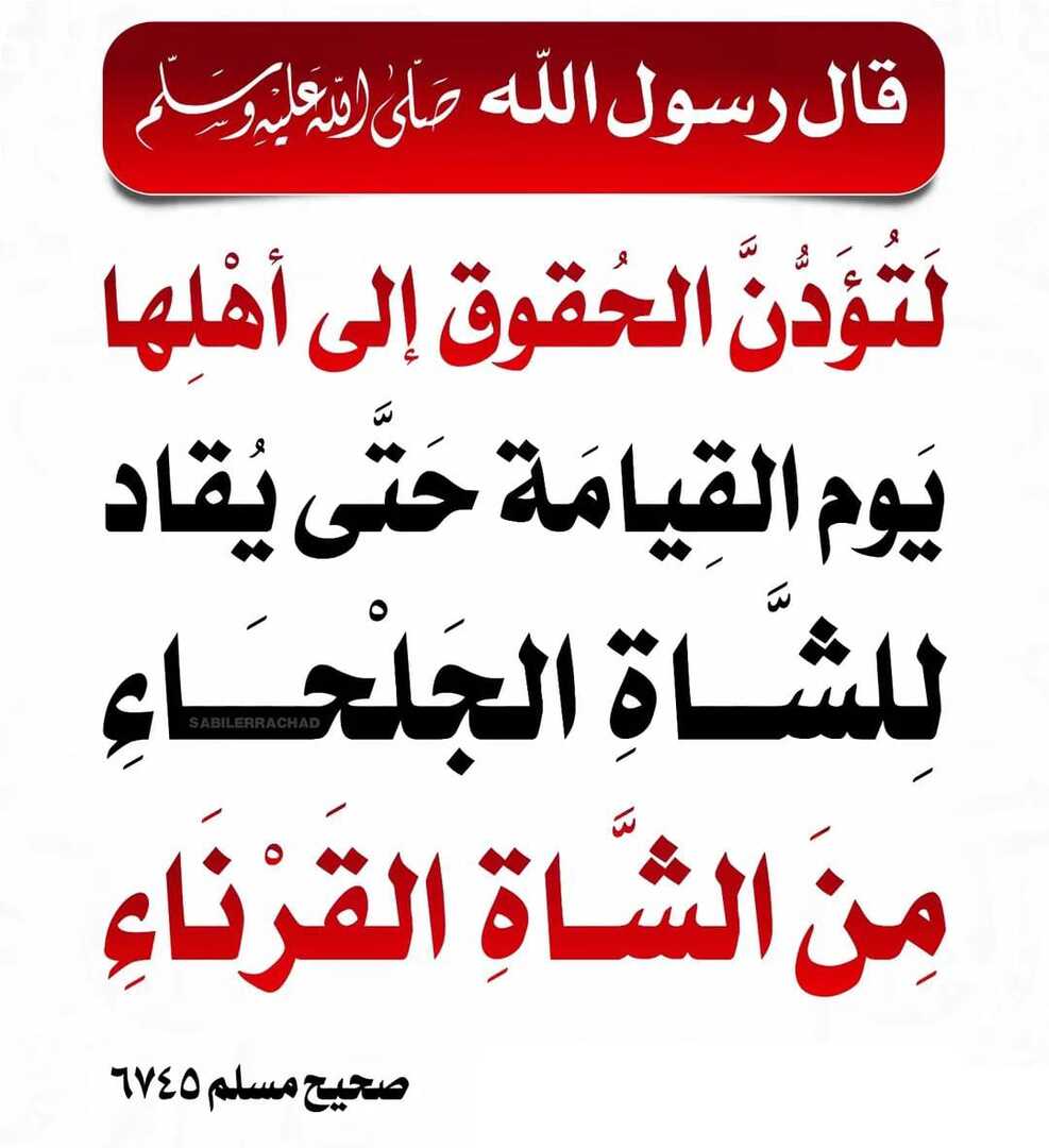 الحقوق يوم القيامة