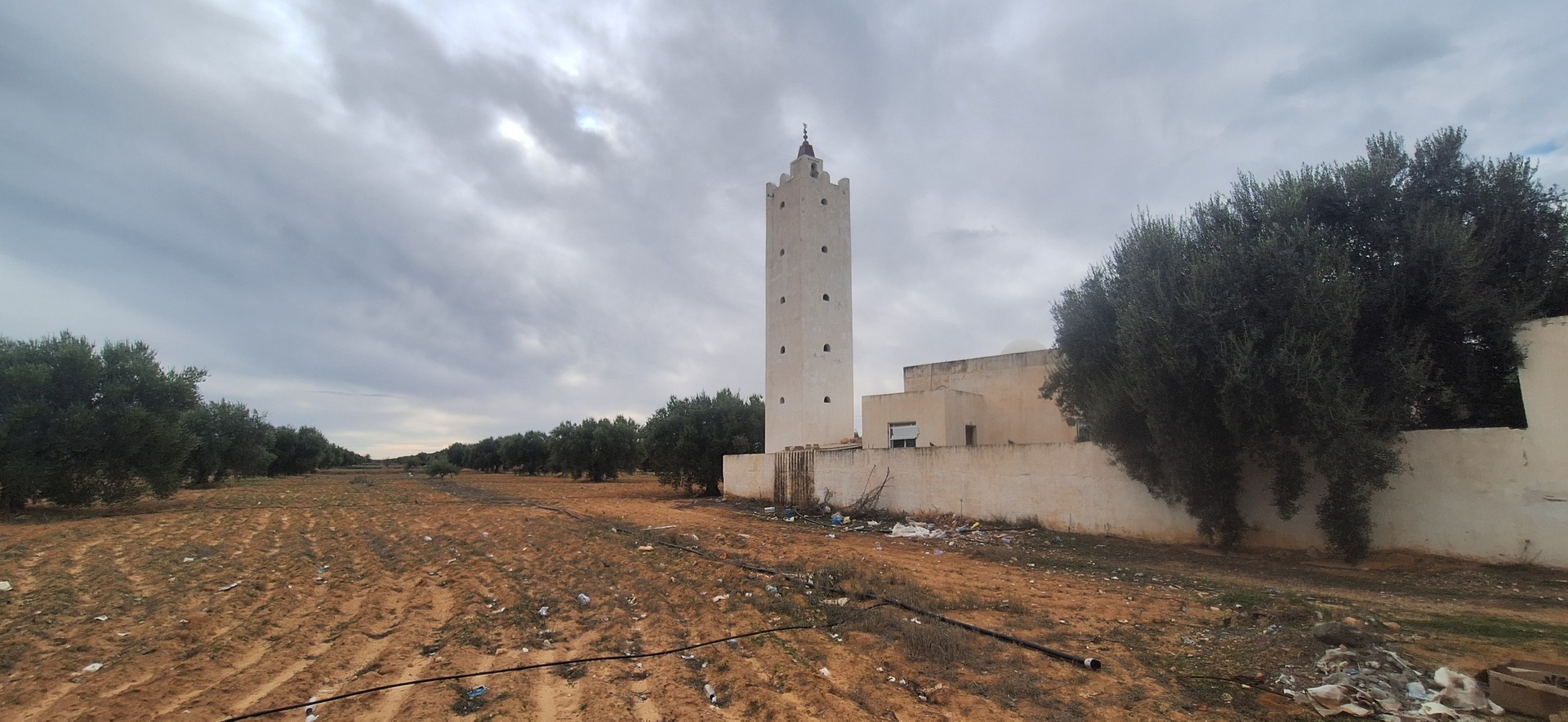 جامع الحرية باولاد الشامخ