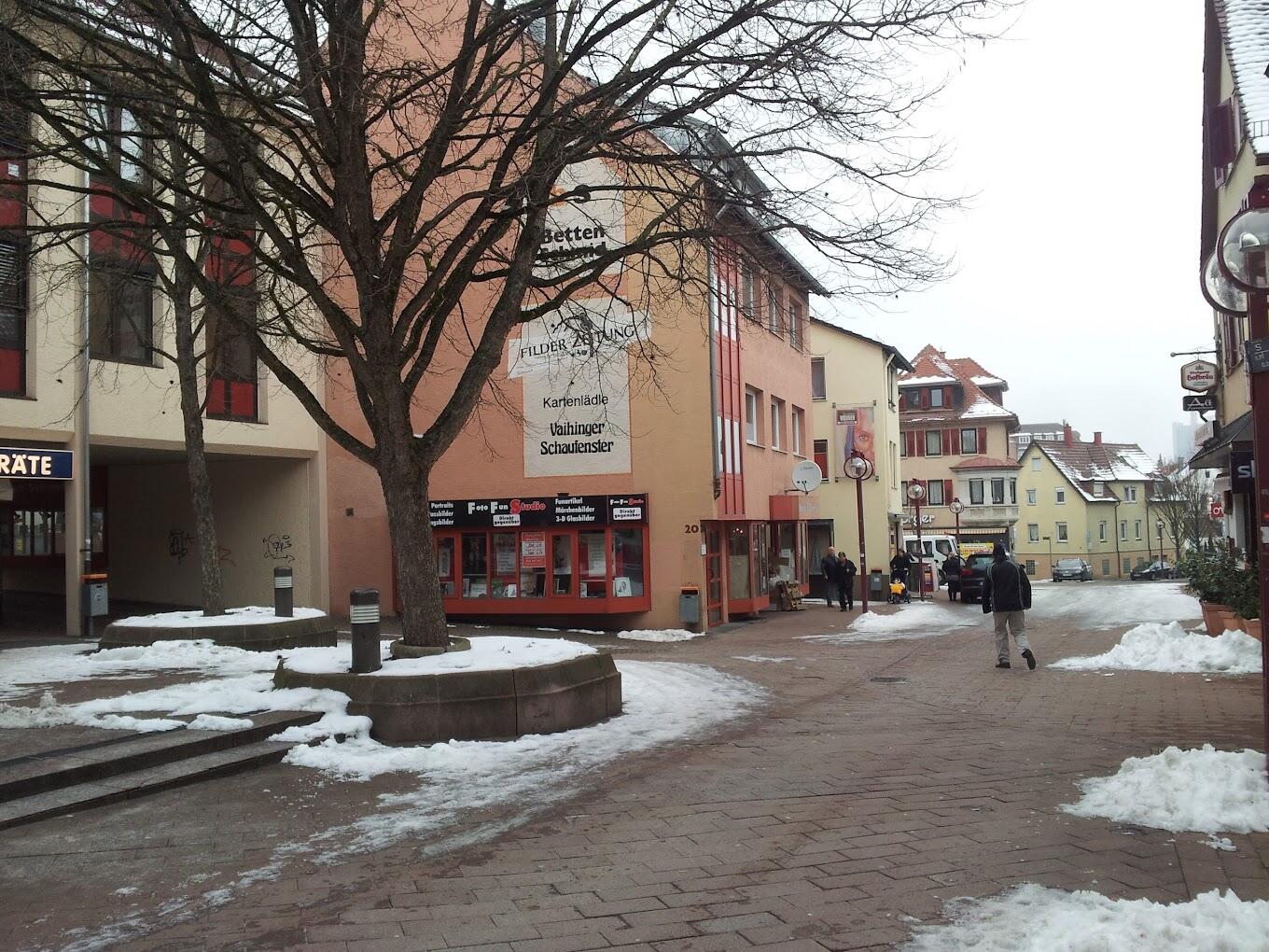 Vaihingen Masjid