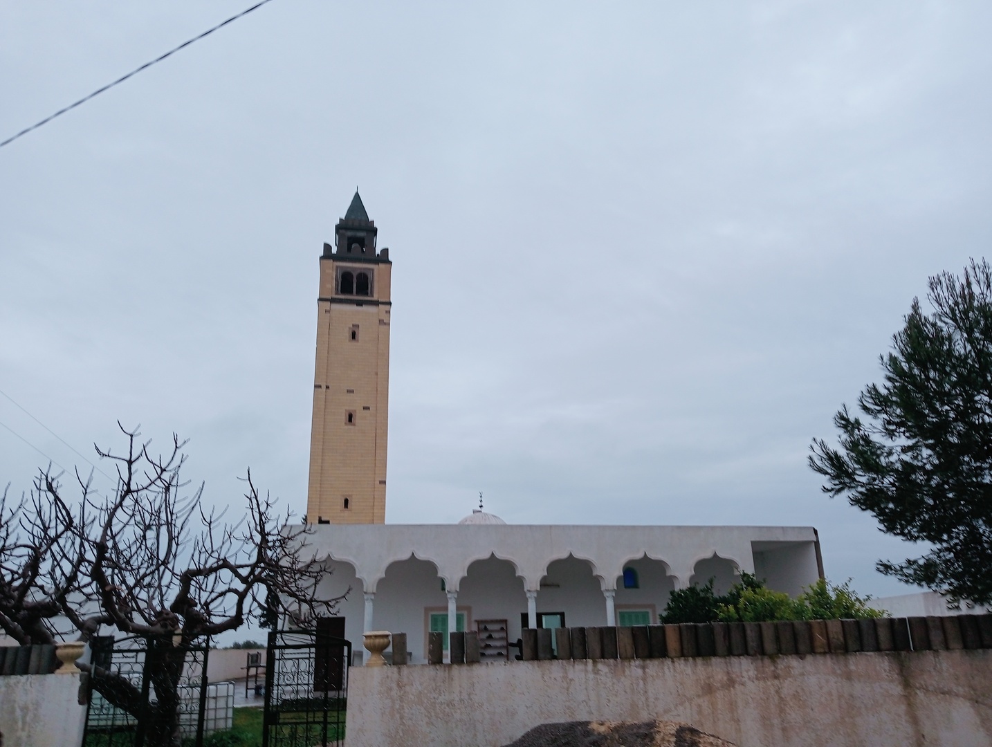 جامع التوبة واد الربح