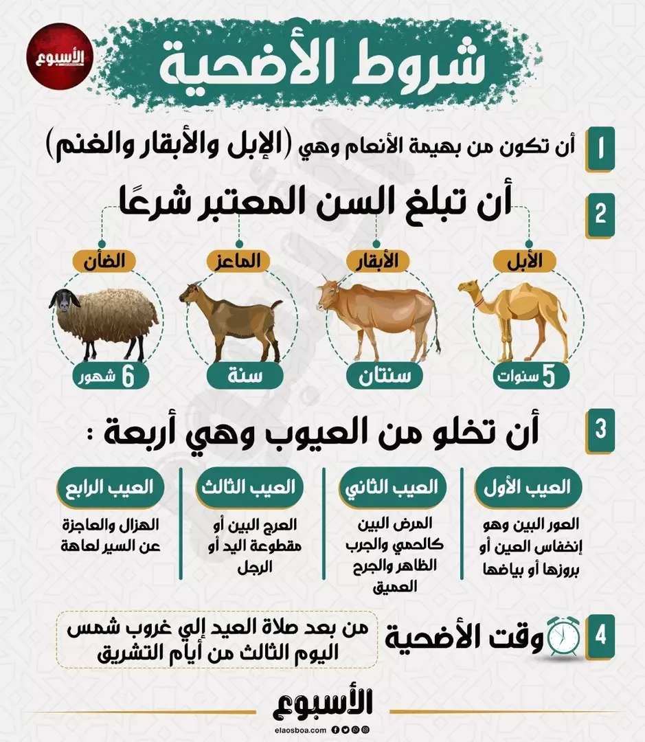 شروط الأضحية