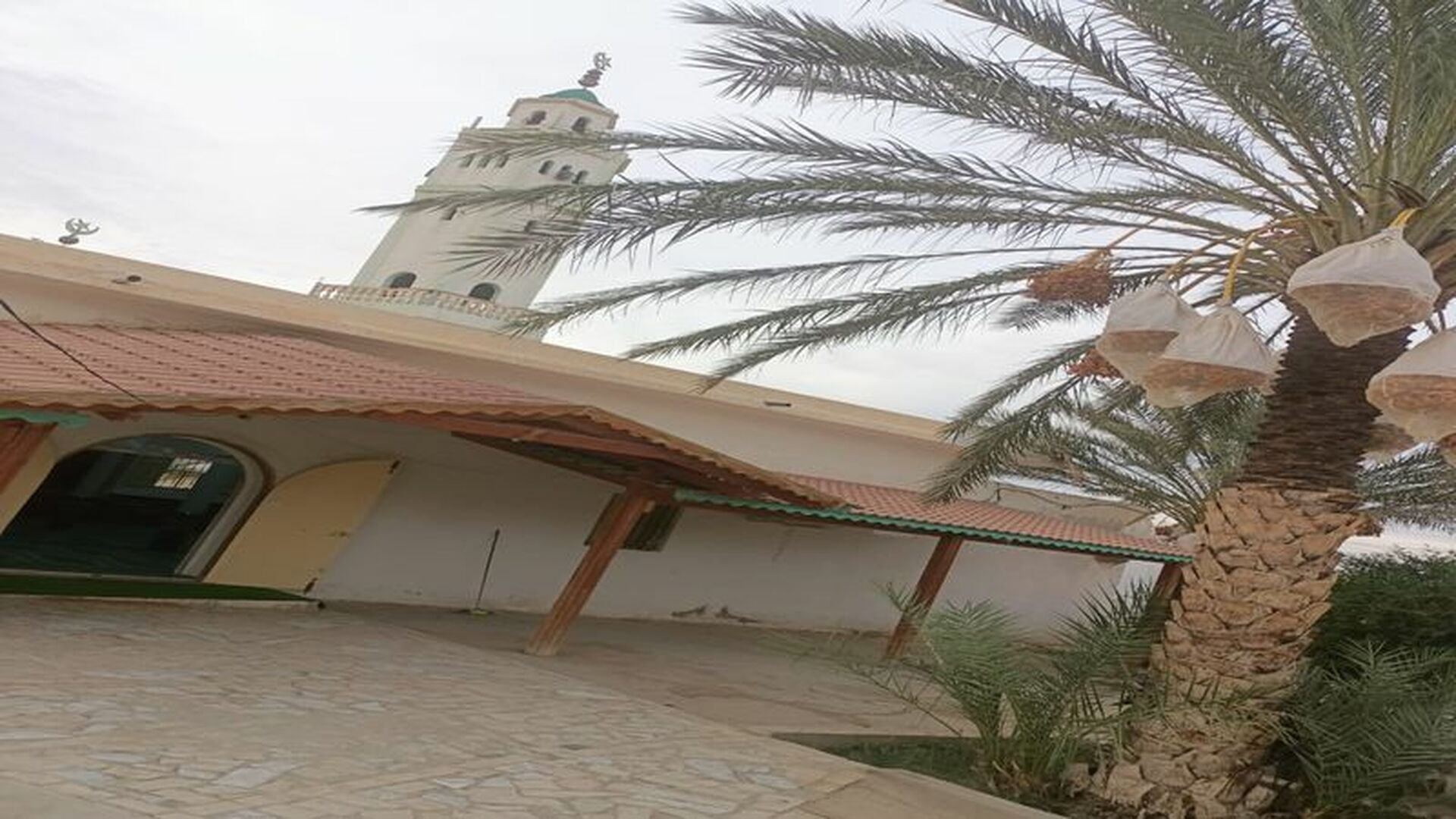 جامع الفجر