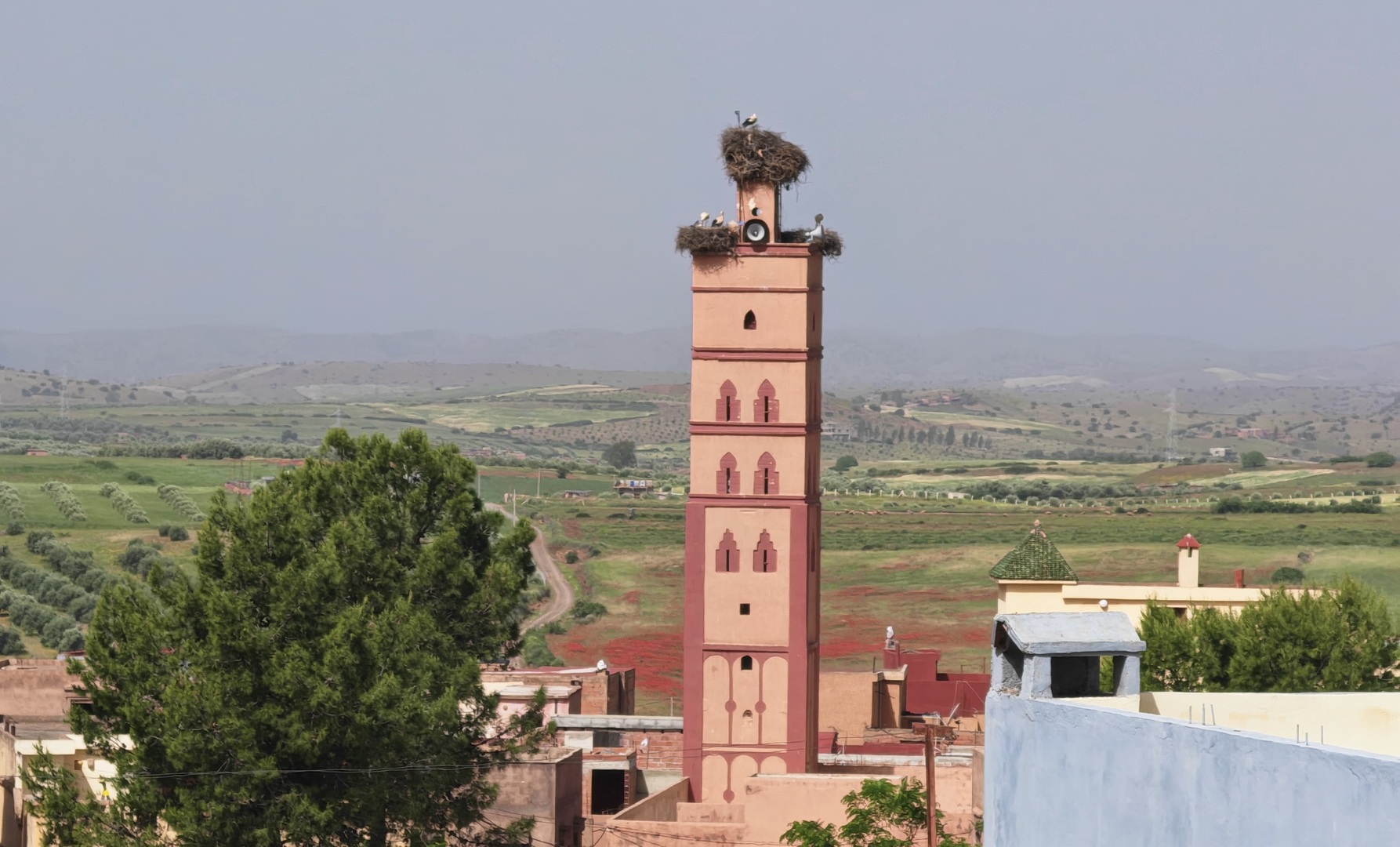 المسجد الكبير سيدي محمد والحاج Ait Ishaq - ايت اسحاق