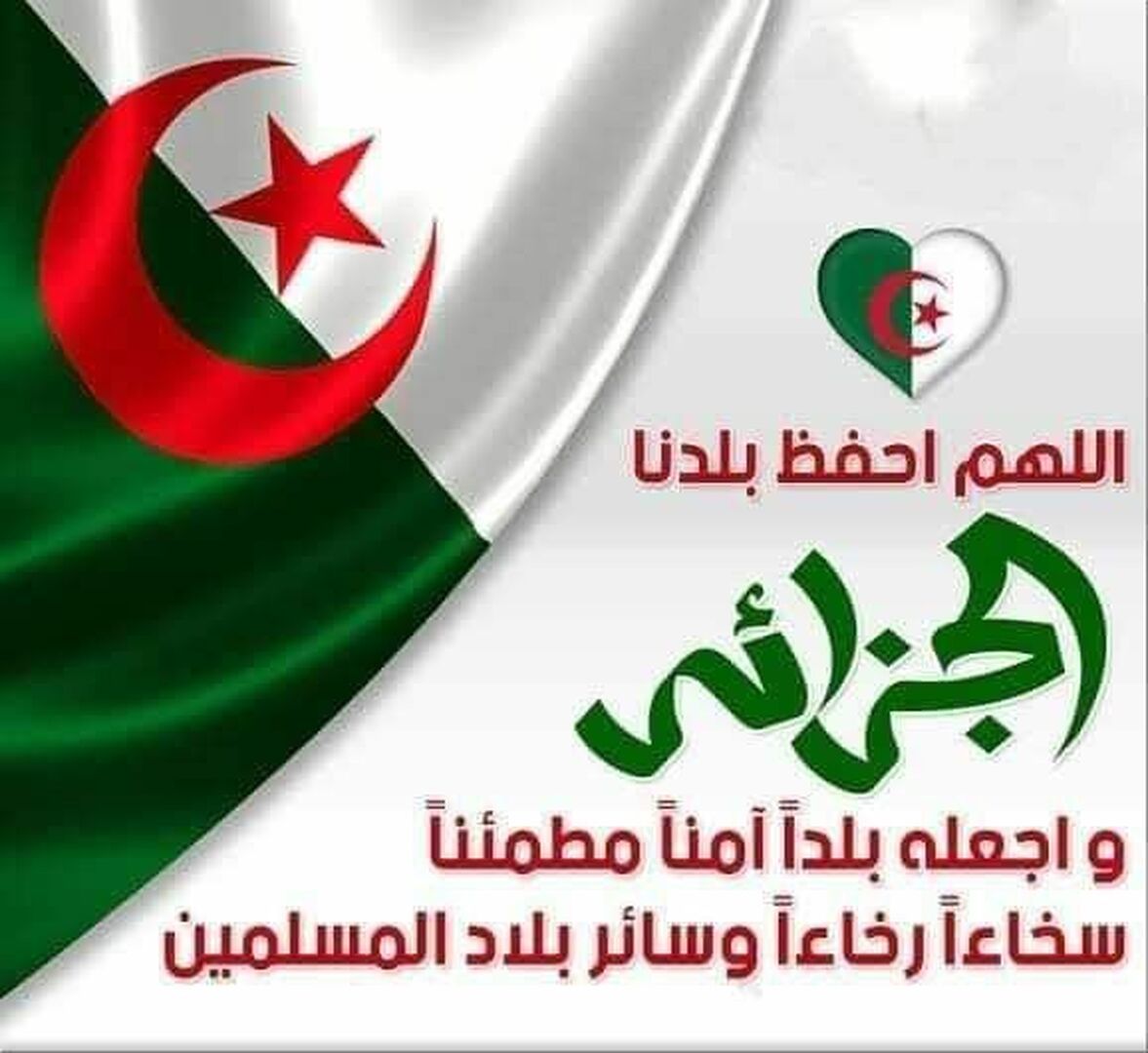 djazair