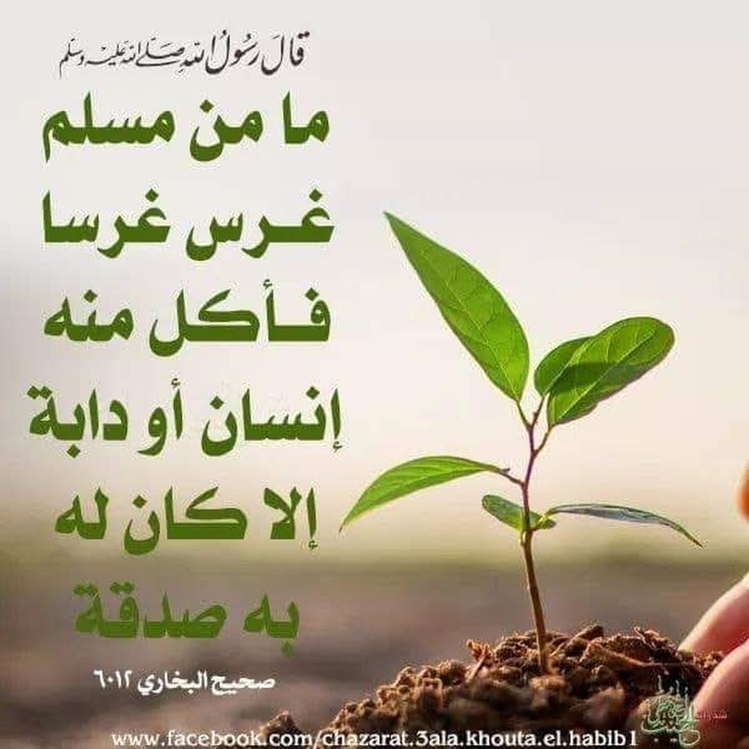 احاديث
