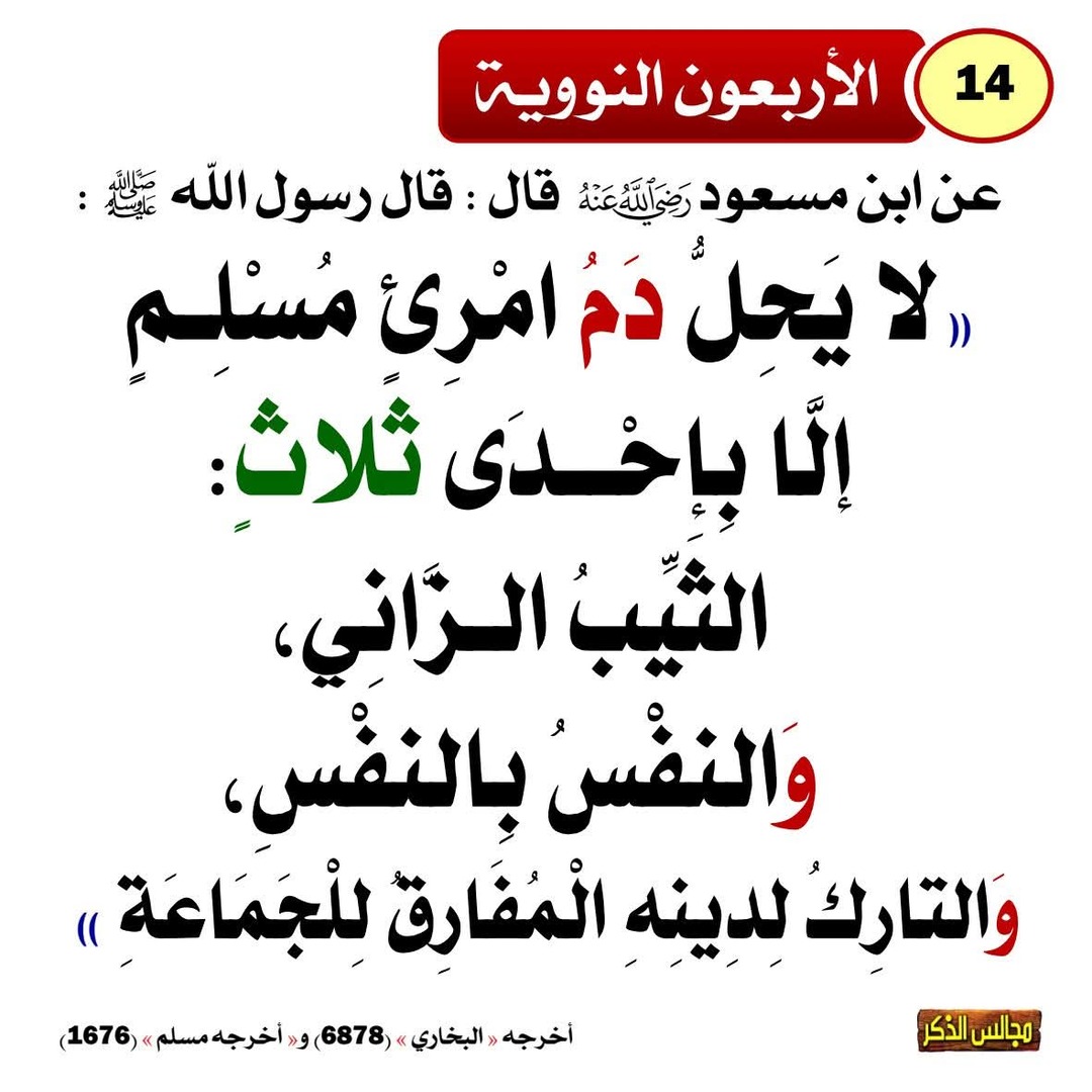 الأربعون النووية