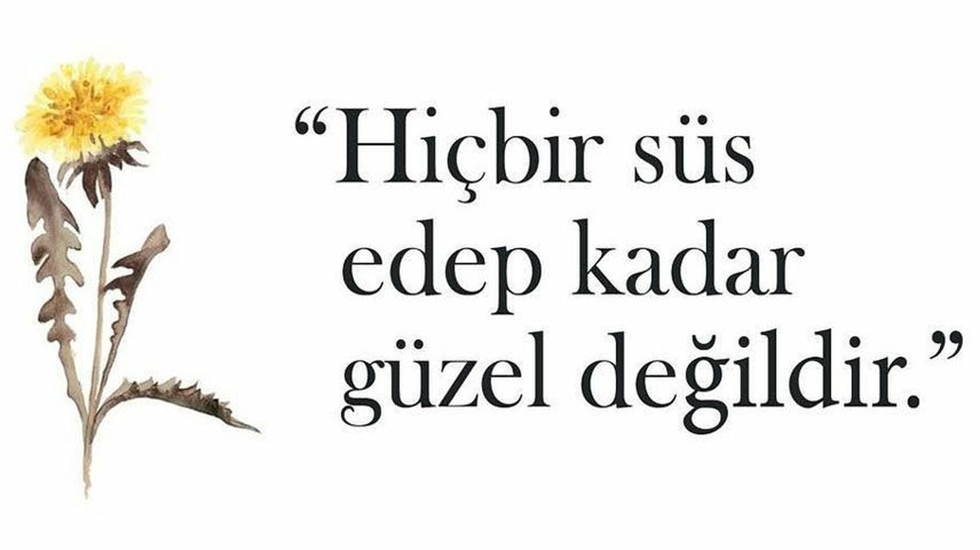 Bir ayet