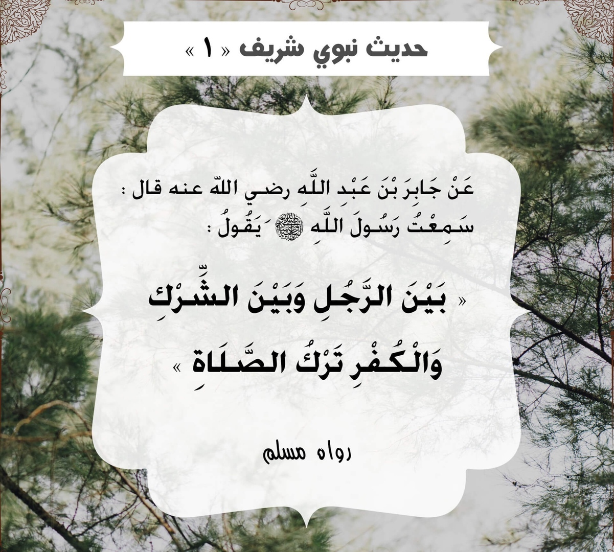 أحاديث الرسول صلى الله عليه وسلم