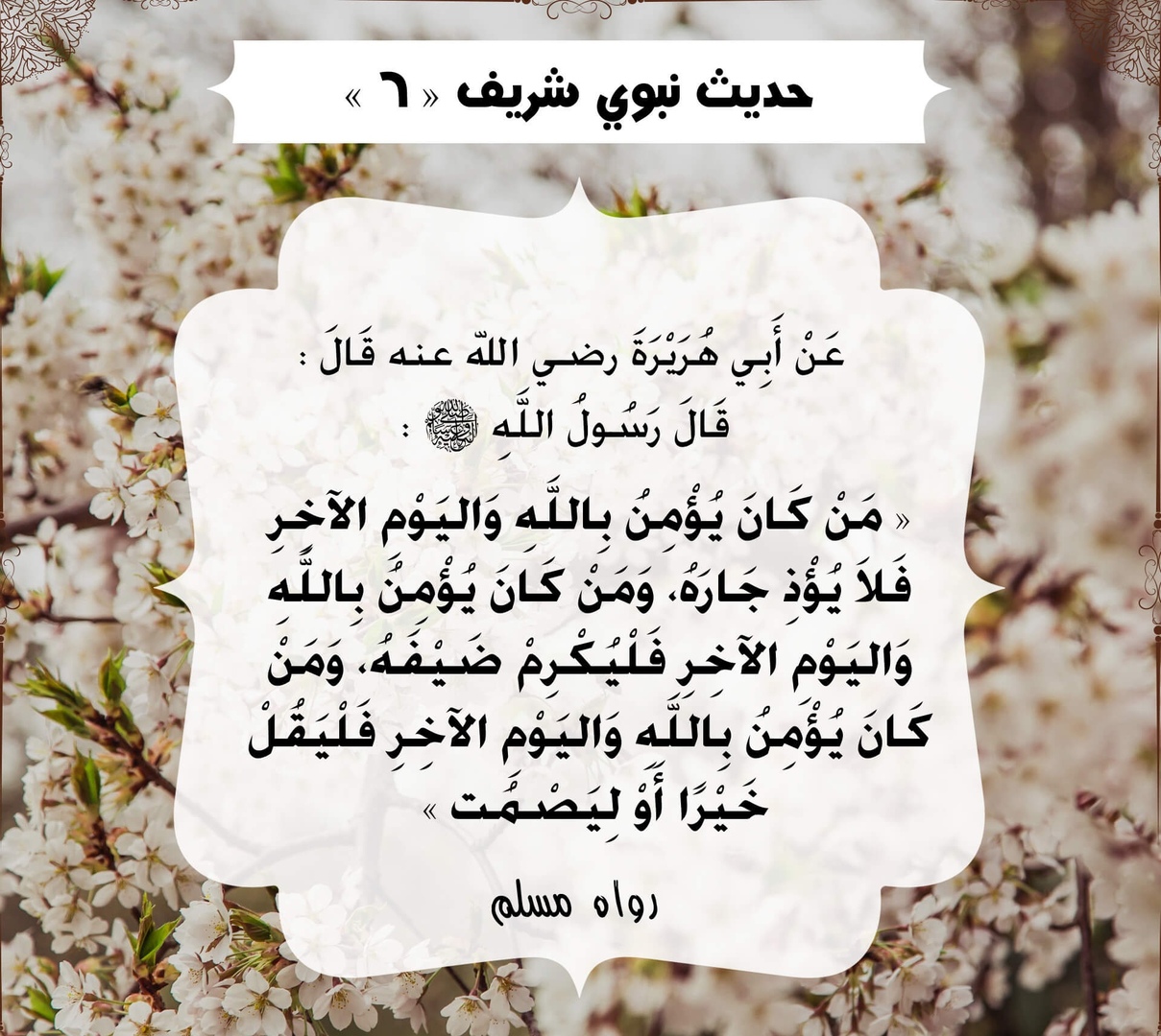 أحاديث الرسول صلى الله عليه وسلم