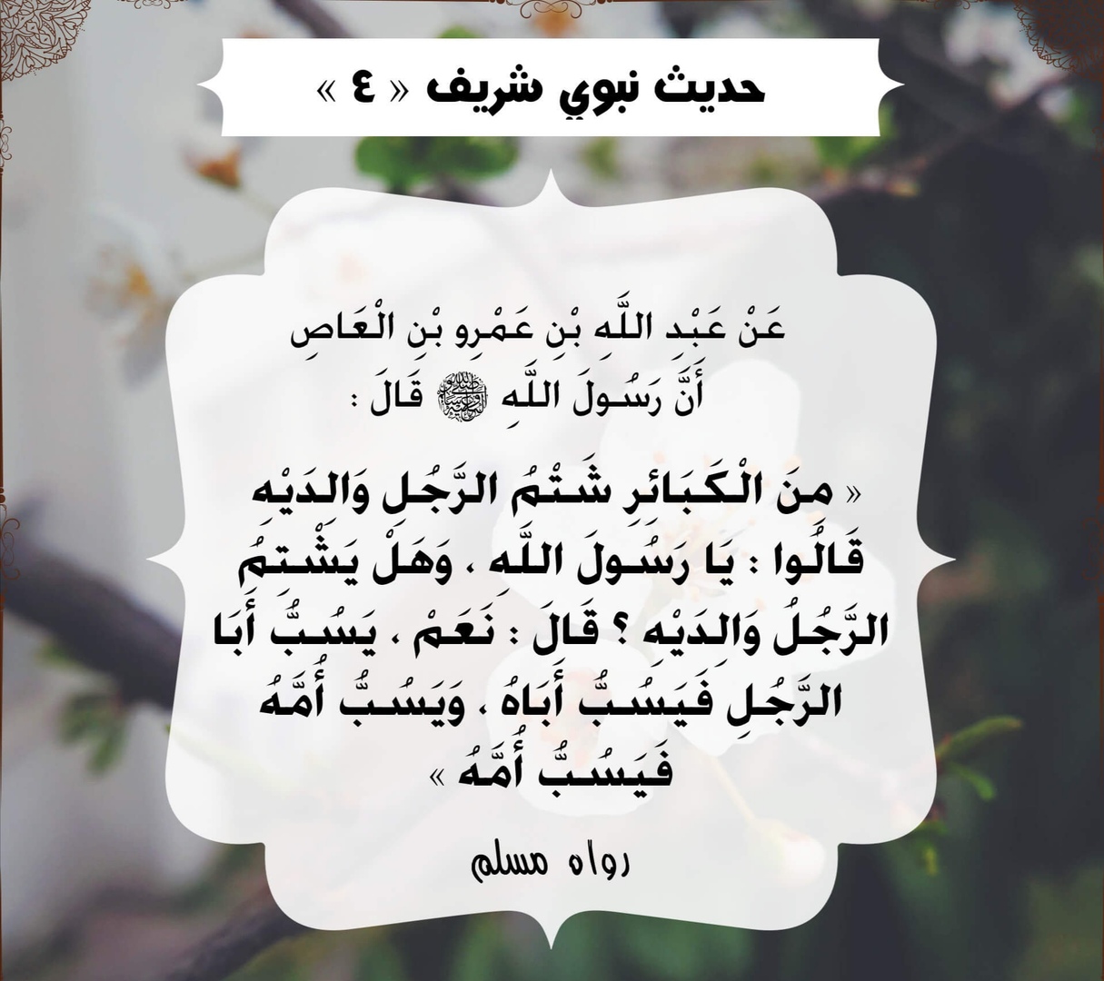 أحاديث الرسول صلى الله عليه وسلم