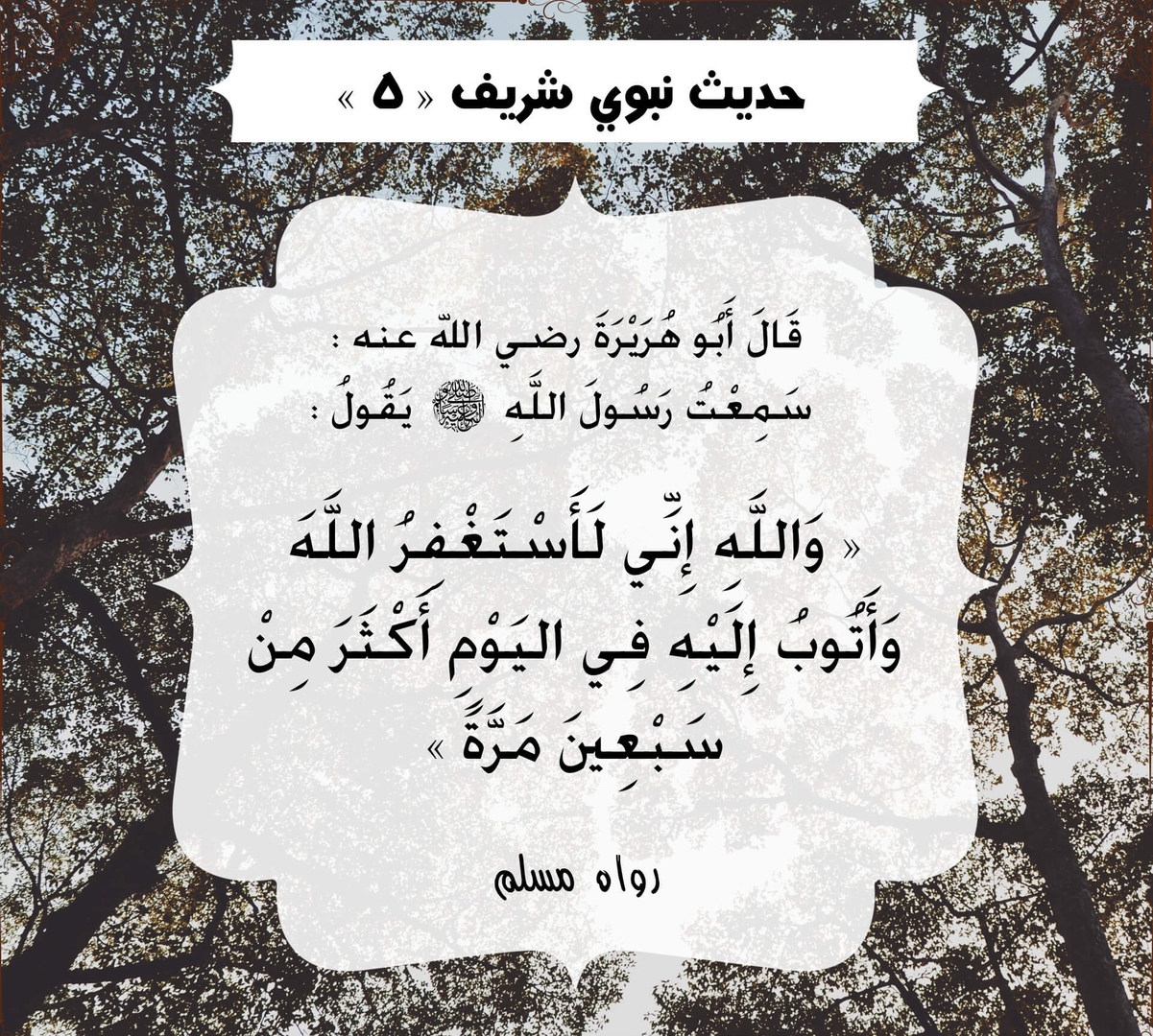 أحاديث الرسول صلى الله عليه وسلم