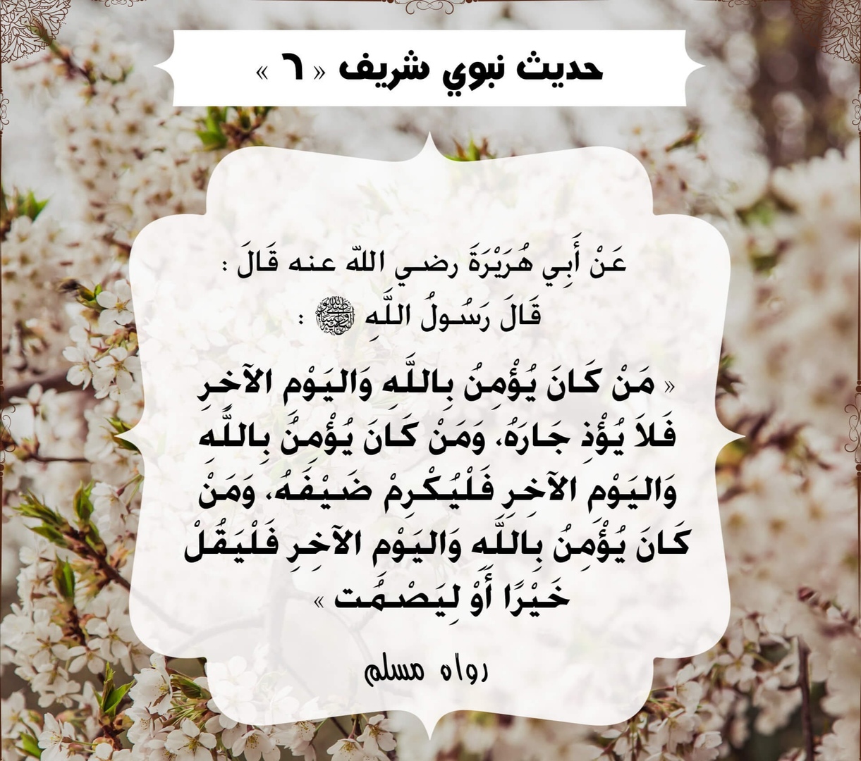 أحاديث الرسول صلى الله عليه وسلم