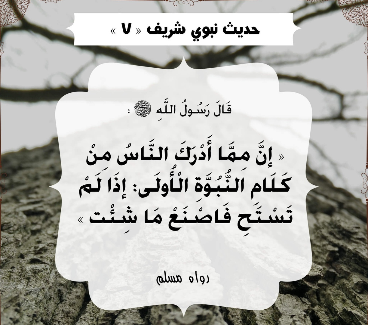 أحاديث الرسول صلى الله عليه وسلم