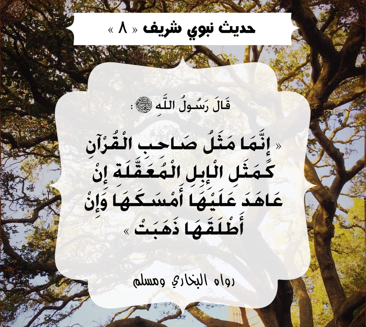 أحاديث الرسول صلى الله عليه وسلم