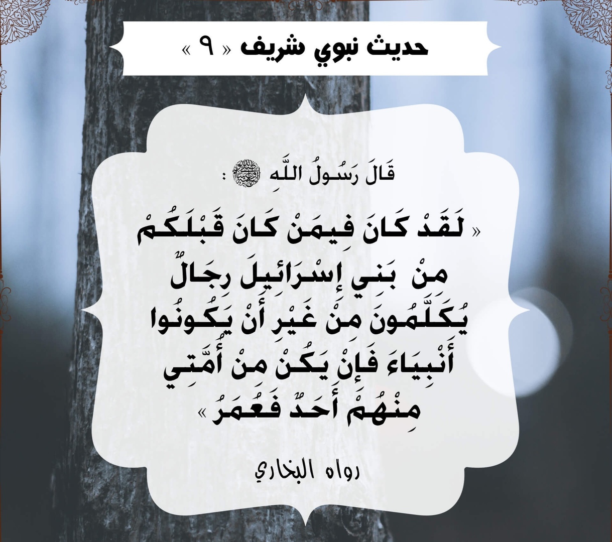 أحاديث الرسول صلى الله عليه وسلم