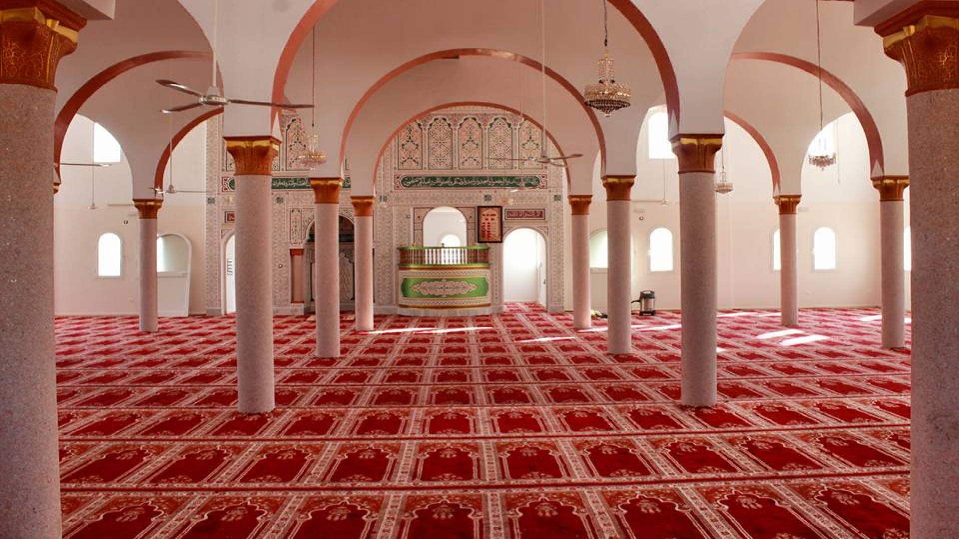 جامع الســــــــــــــعادة
