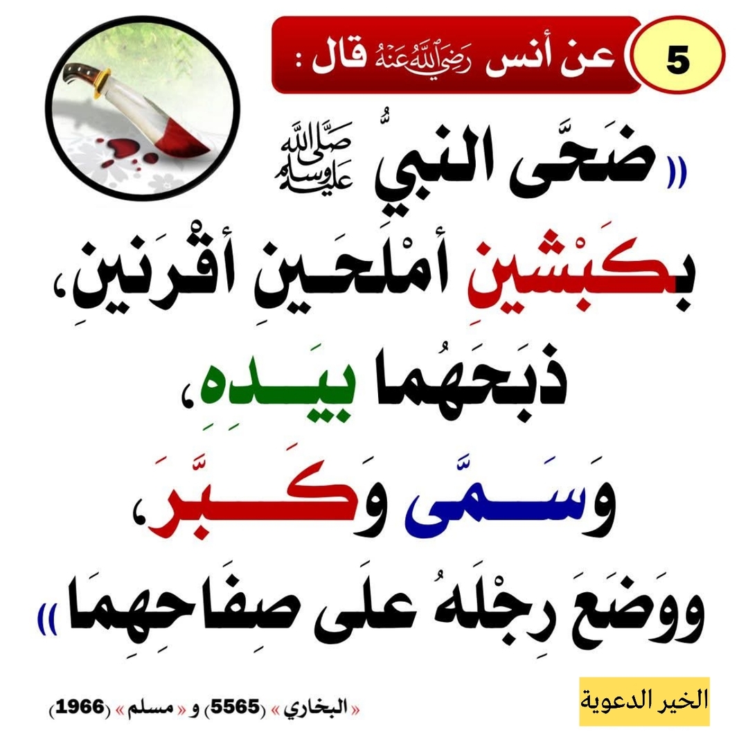 اضحية العيد