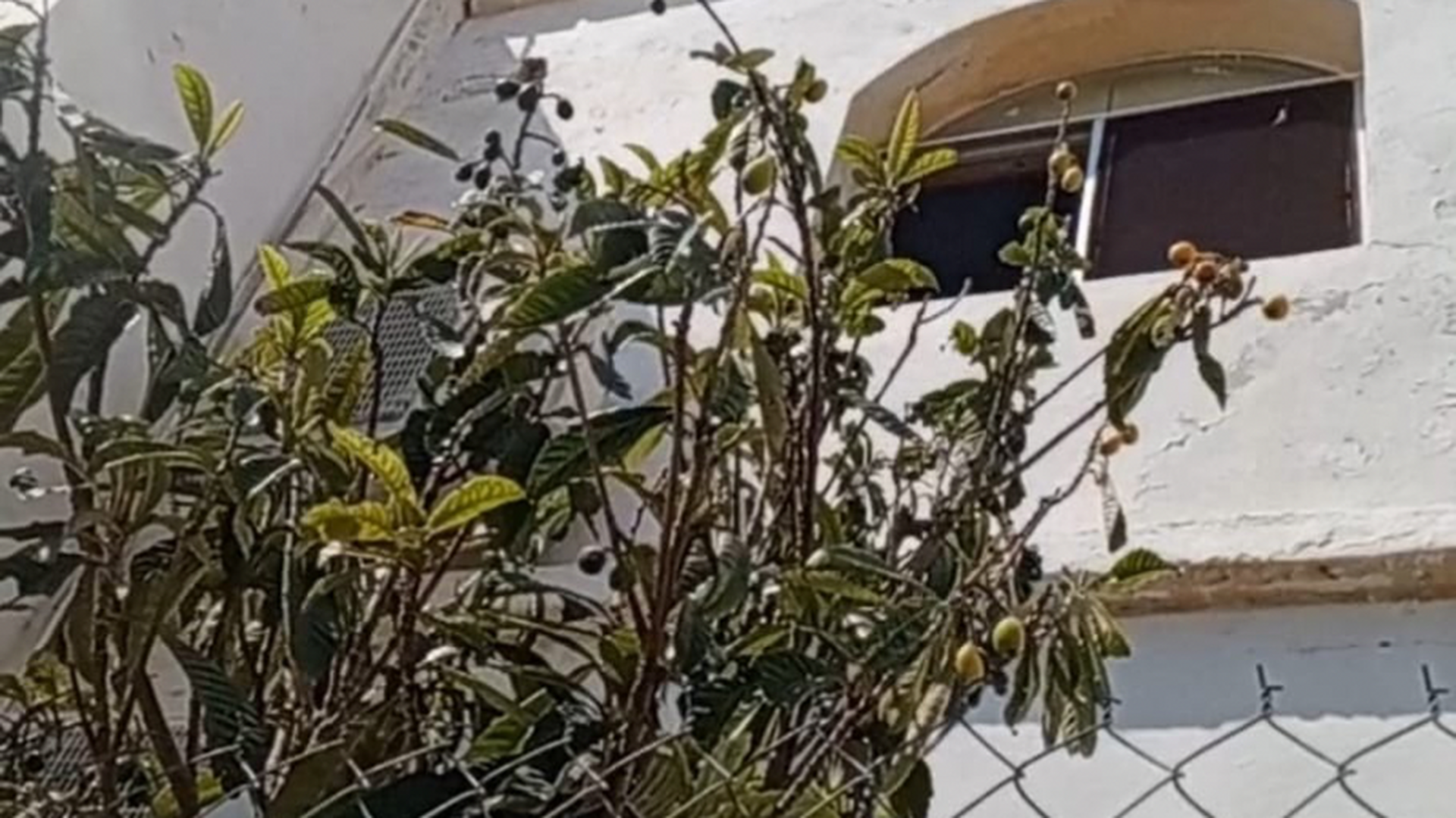 مسجد أبو بكر الصديق. رضي الله عنه