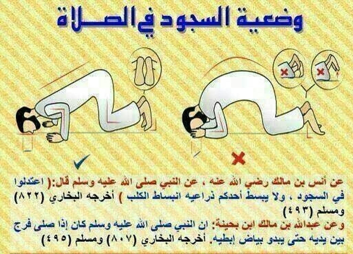 تنبيه