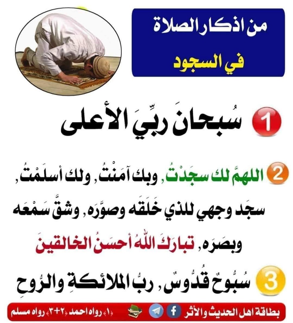 السجود