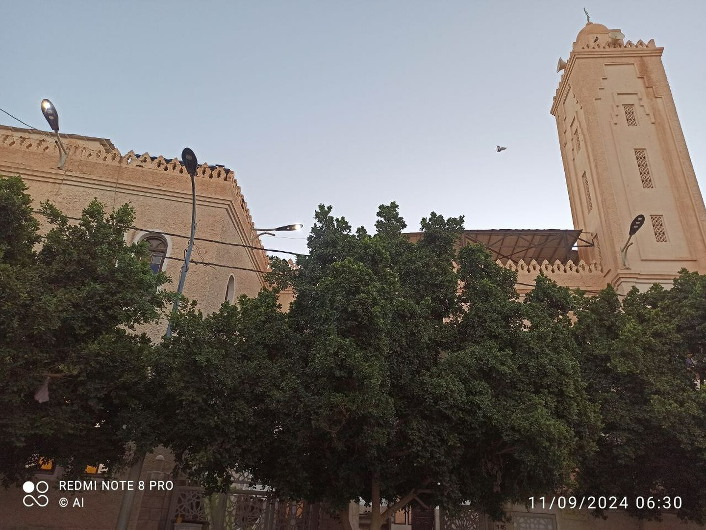 مسجد الشيخ أحمد شطة - الأغواط