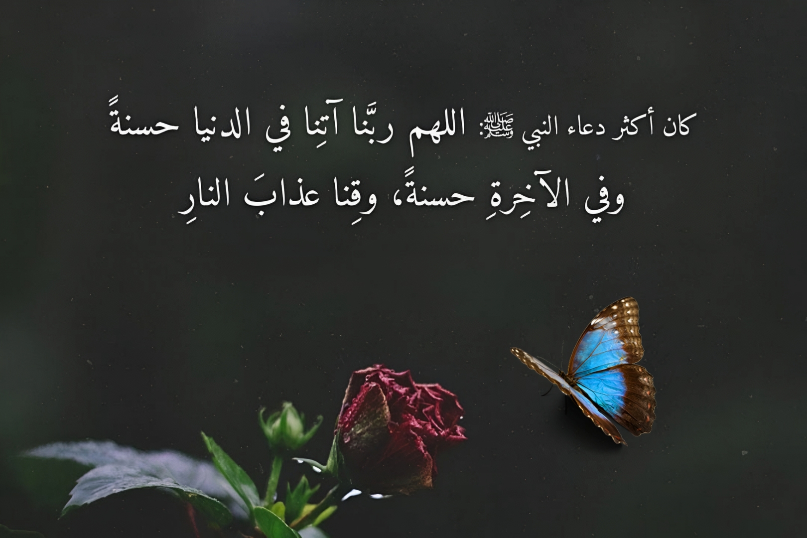 آيـــــــة