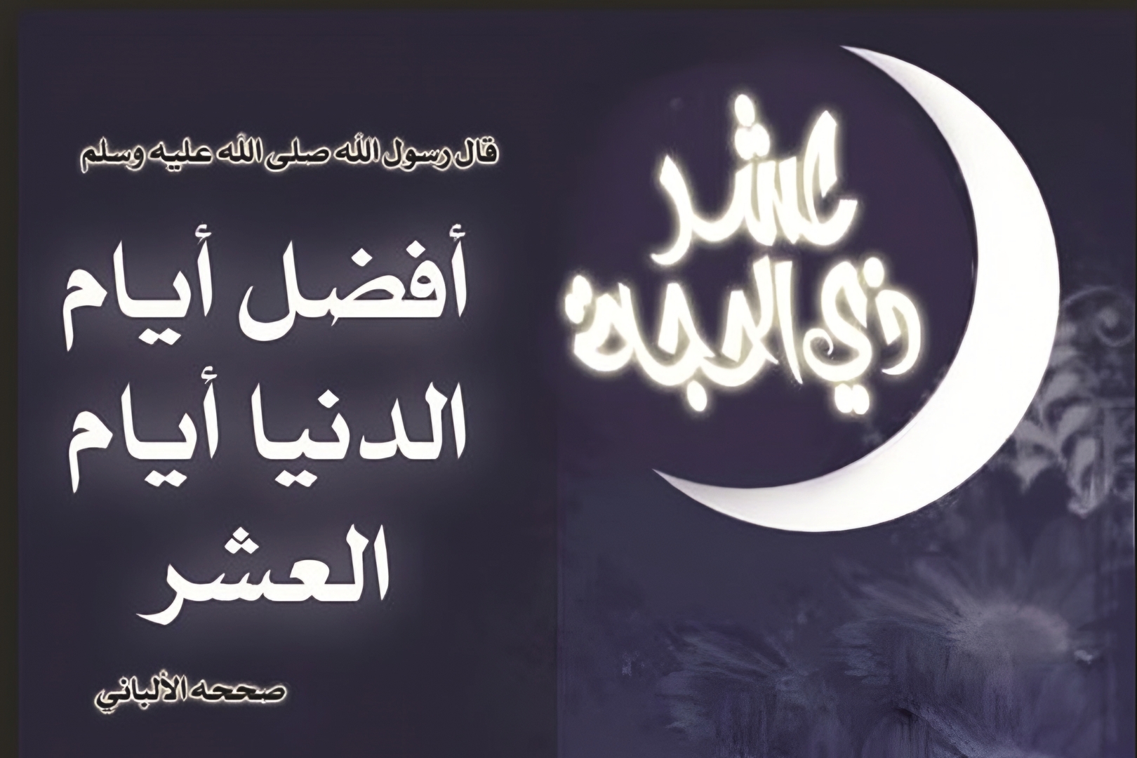 آيـــــــة