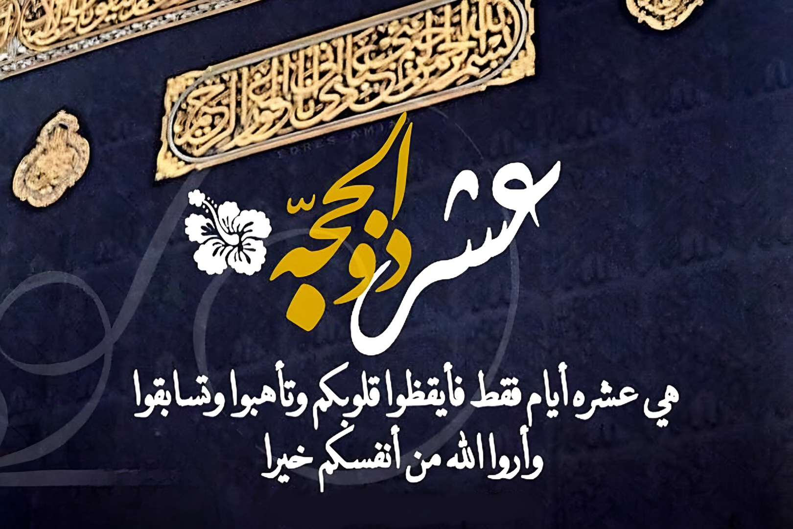 آيـــــــة