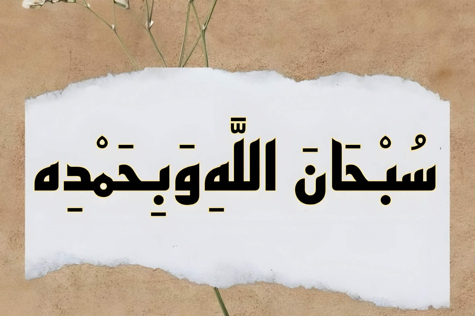 آيـــــــة