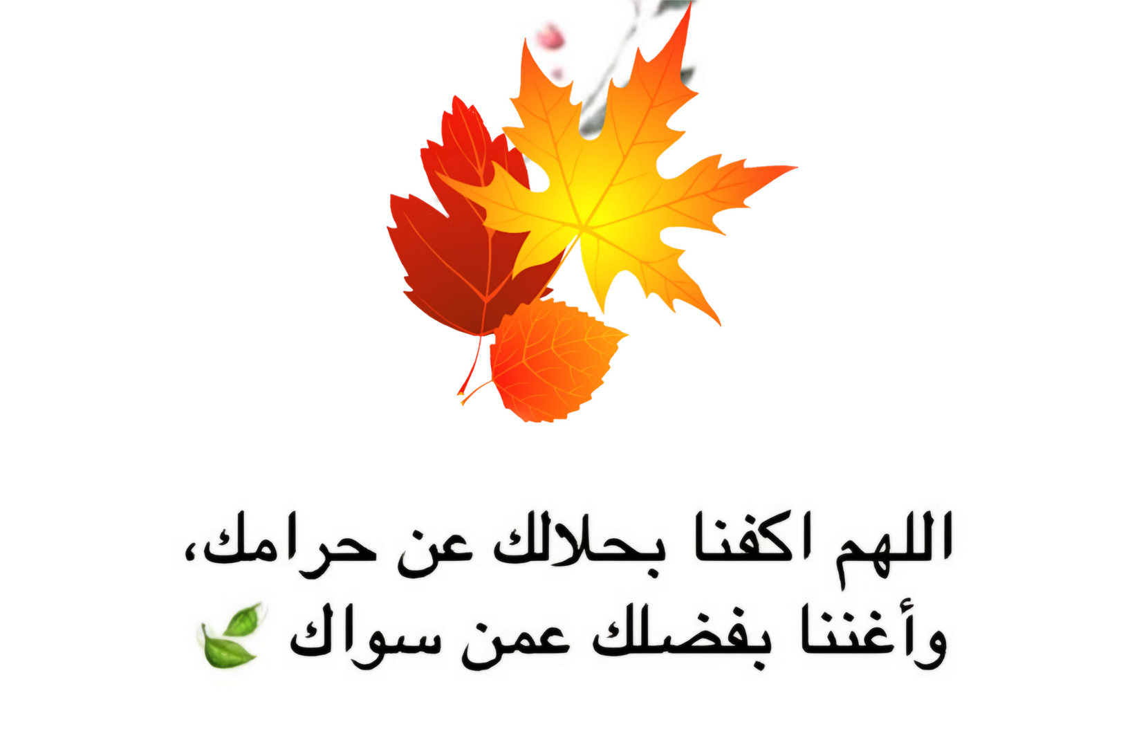 دعاء