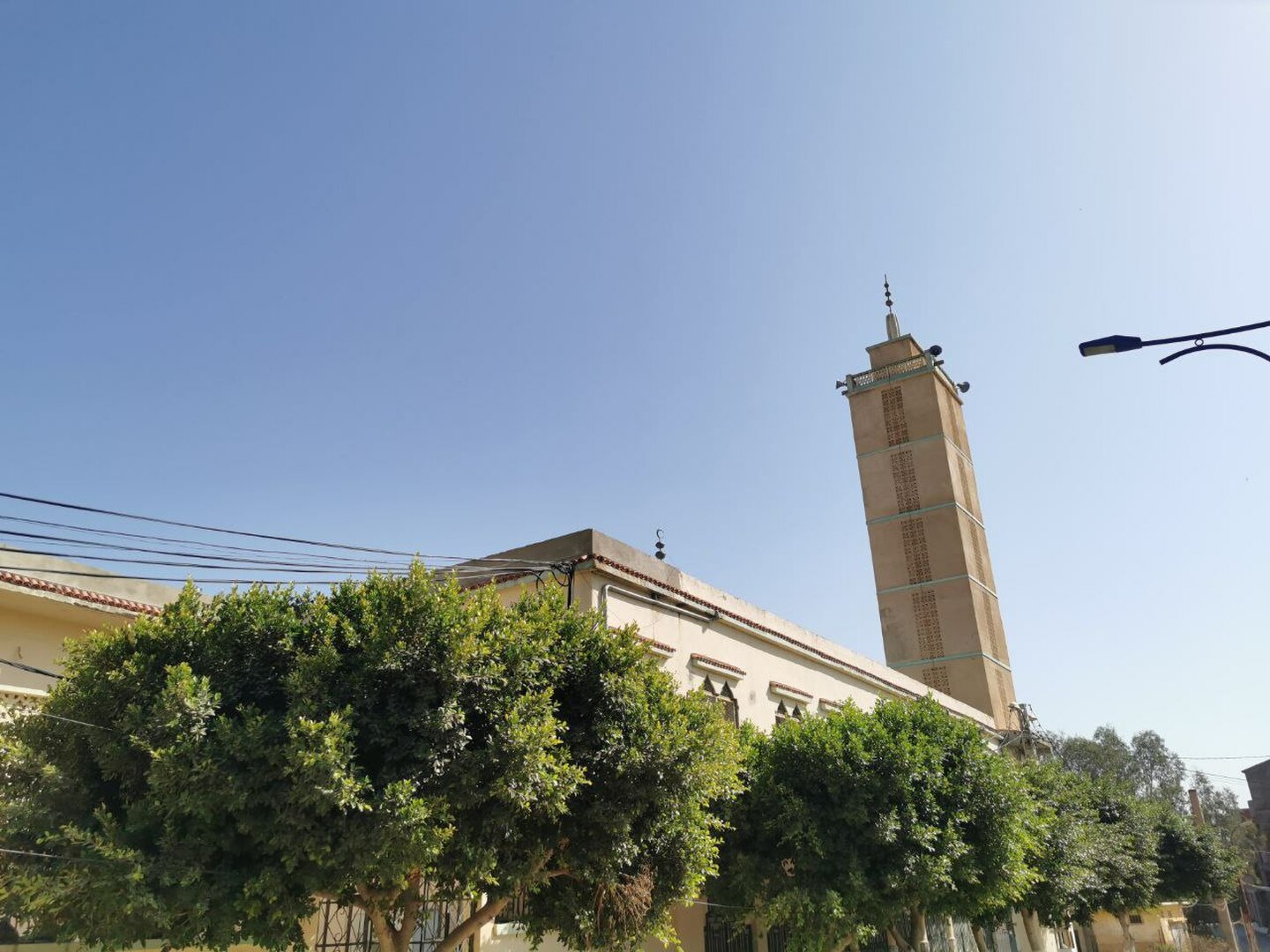 طارق بن زياد سيدي أحمد