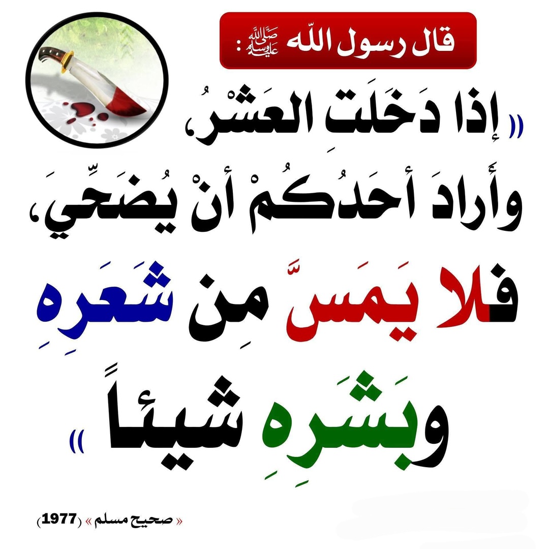 لمن يضحي