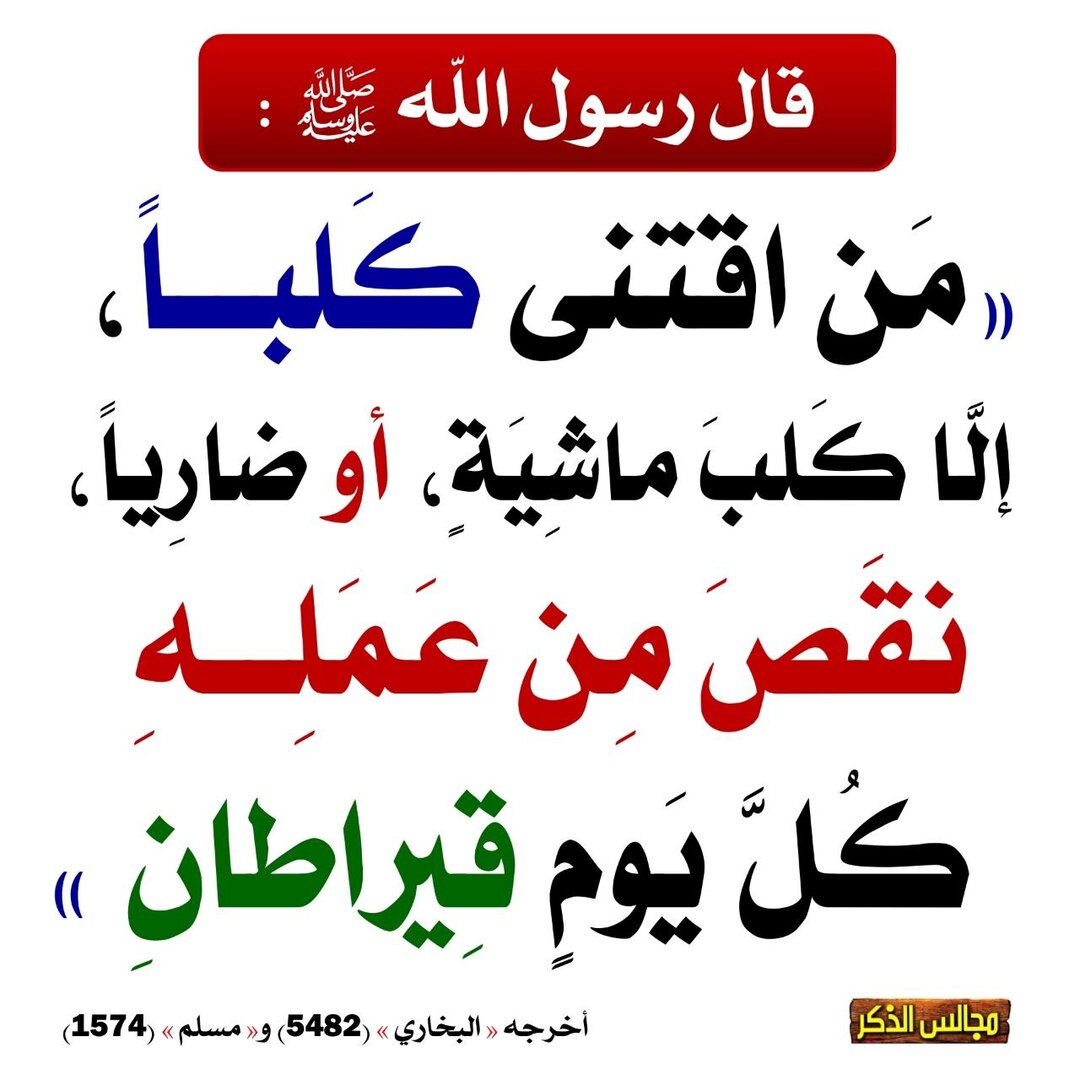 اقتناء كلب