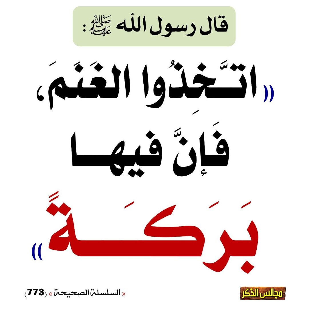 الغنم
