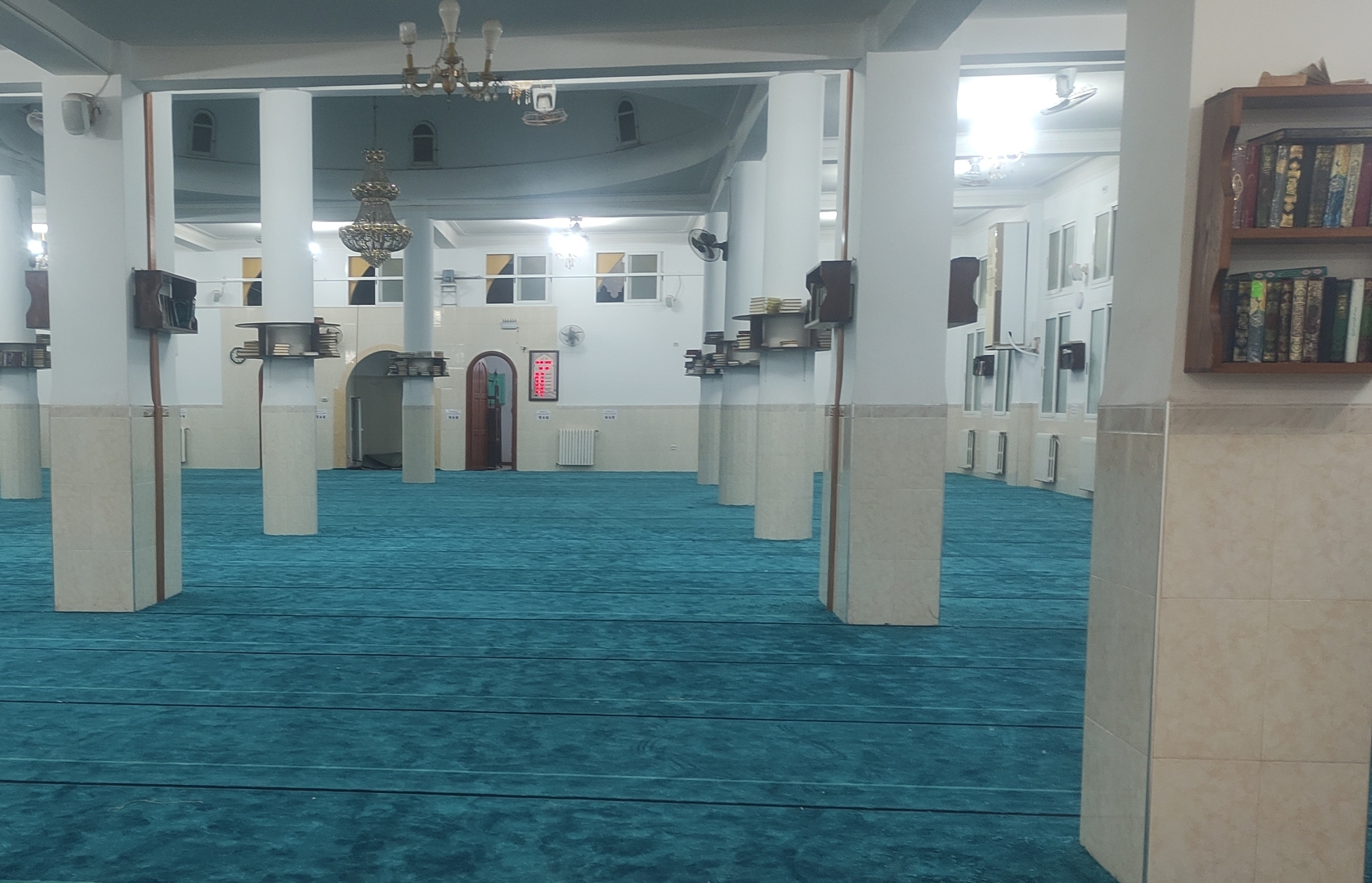 موسى ابن نصير