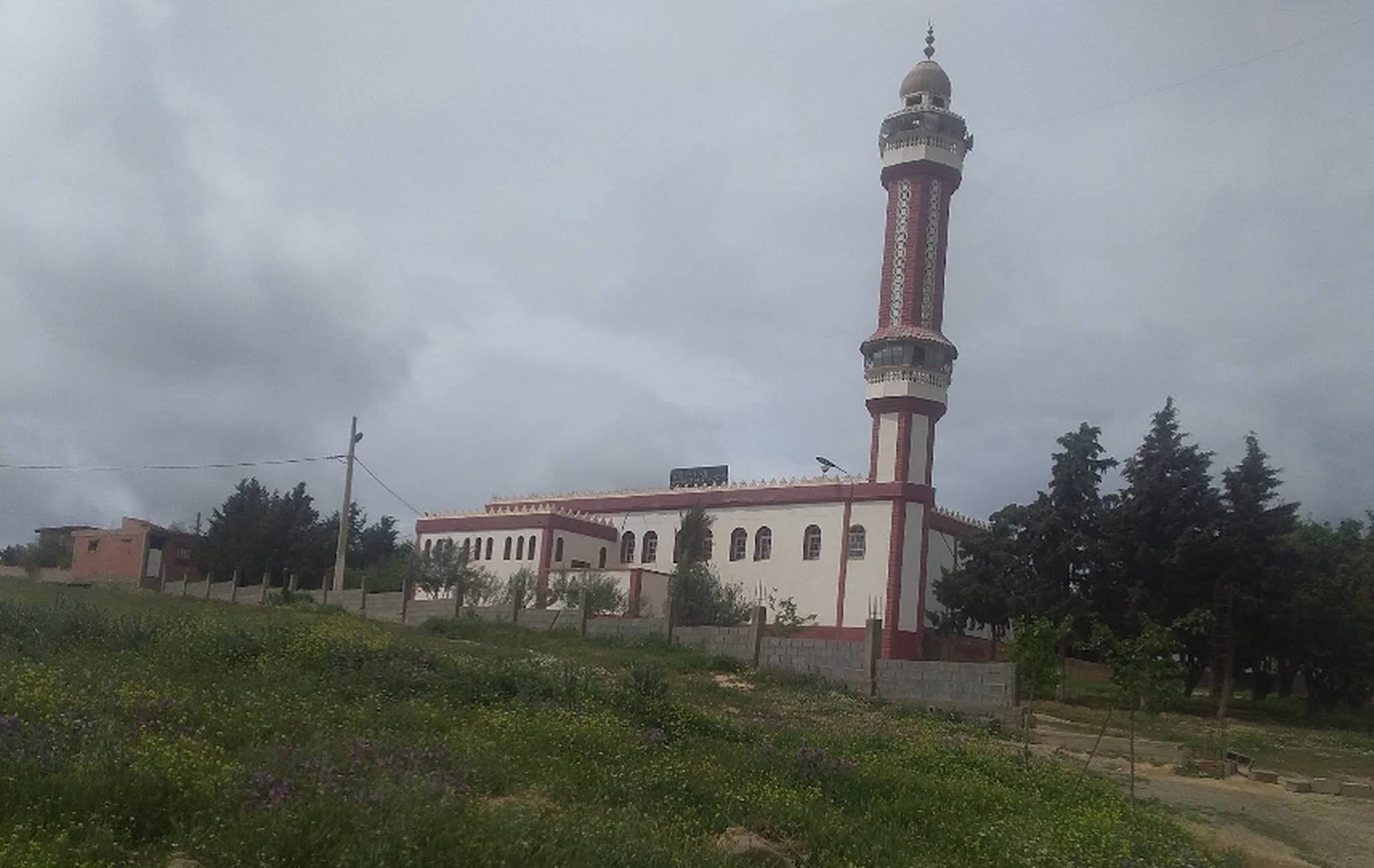 مسجد الامام مالك