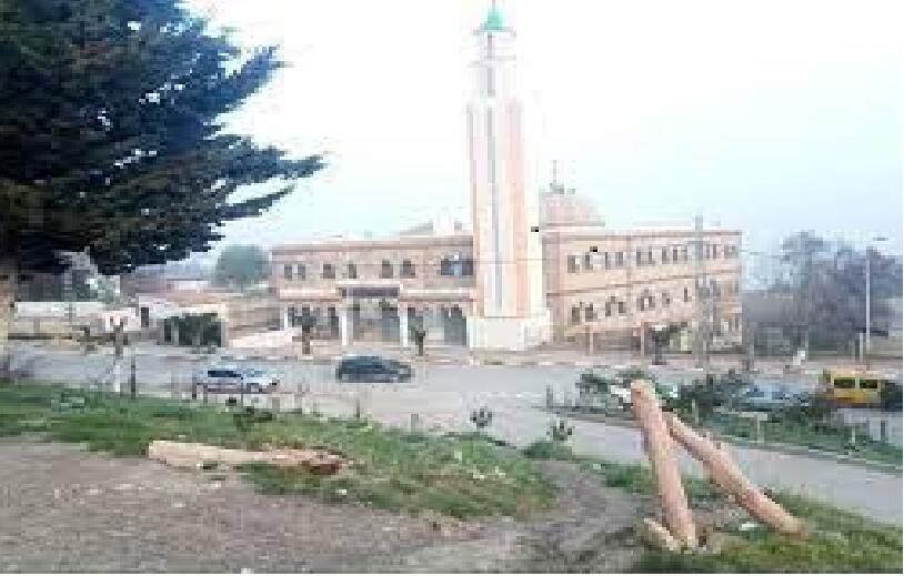 عثمان بن عفان - الحمام - القصور