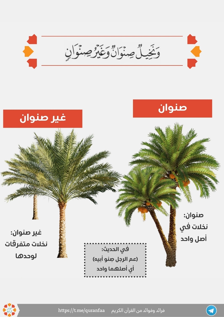 فائدة