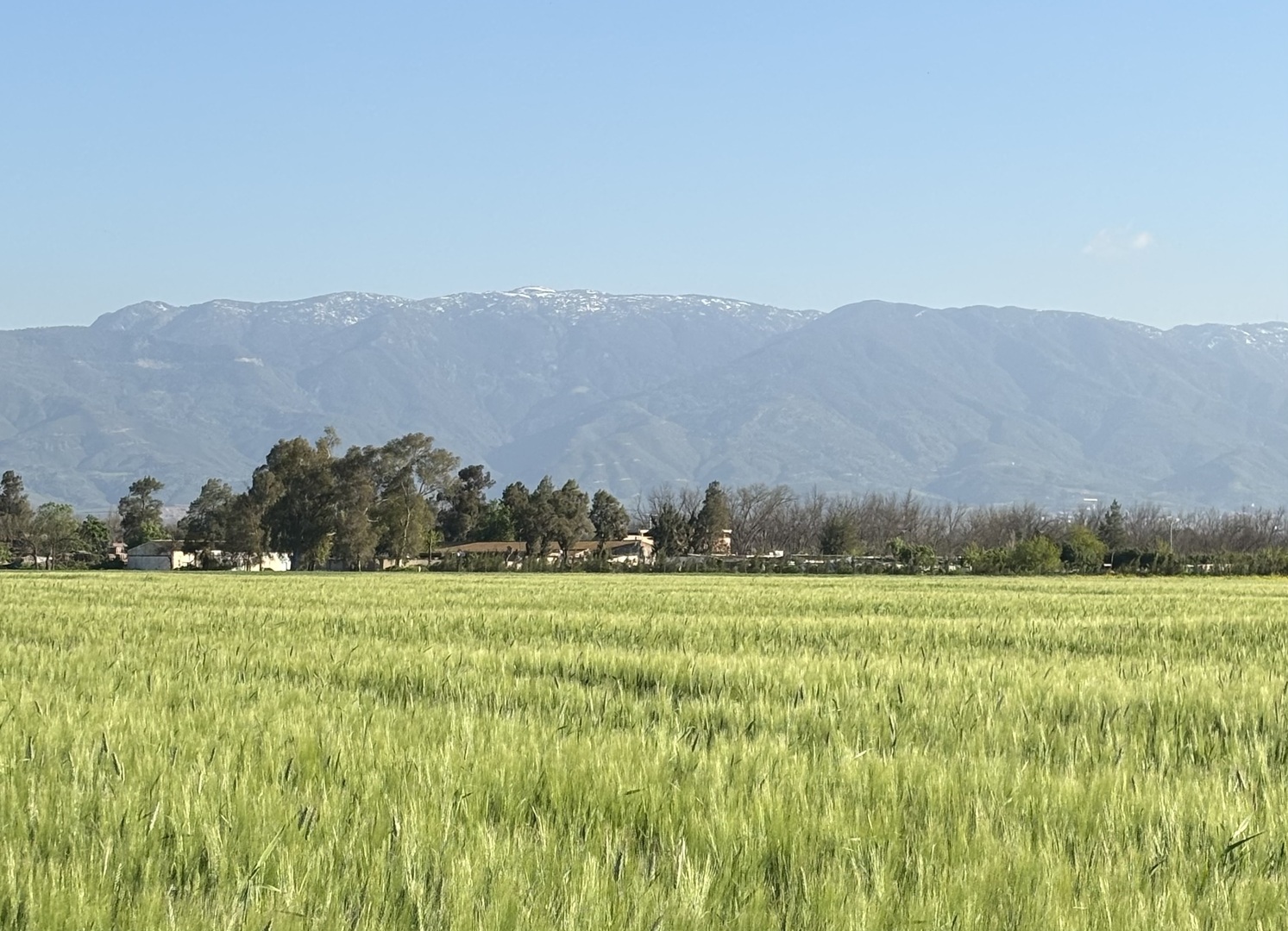 زاوية الشيخ بن عيسى