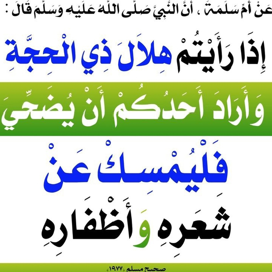 حديث