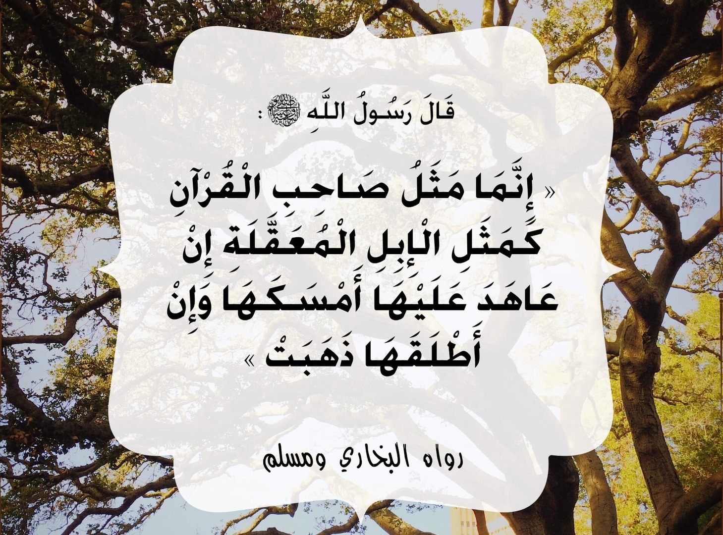 أحاديث  نبوية