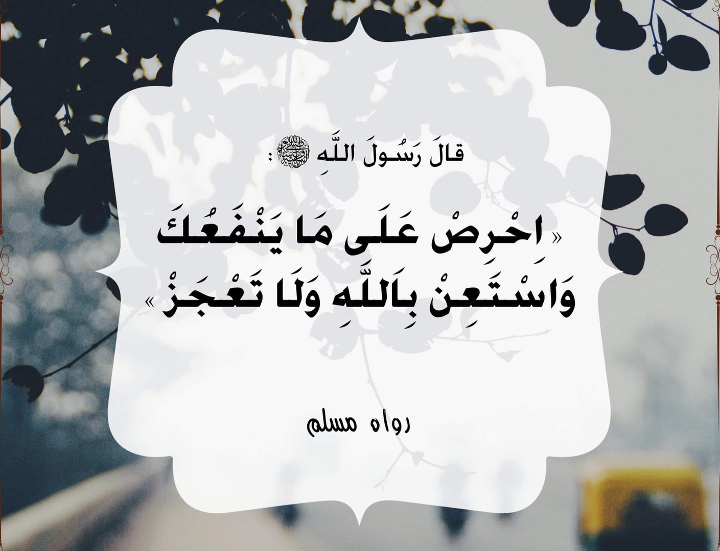 أحاديث  نبوية